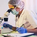 Scientists have spent years creating the new treatment for chronic kidney disease