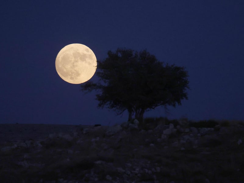 A picture taken from the Israeli city of Rosh Haain shows the 'Blue Moon' rising over the West Bank. (Photo by Menahem KAHANA / AFP)