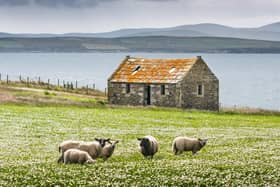 A new fellowship has been launched, providing funding for research into supporting the viability and sustainability of crofts and small farms in the north Highlands (pic: Getty Images/iStockphoto)