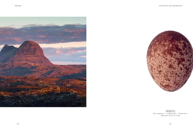 A Double-page spread from Fragile, showing Suilven and a Merlin's egg PIC: Colin Prior