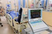 Scotland has seen a period of at least ten days this month where no new coronavirus patients were admitted to intensive care.