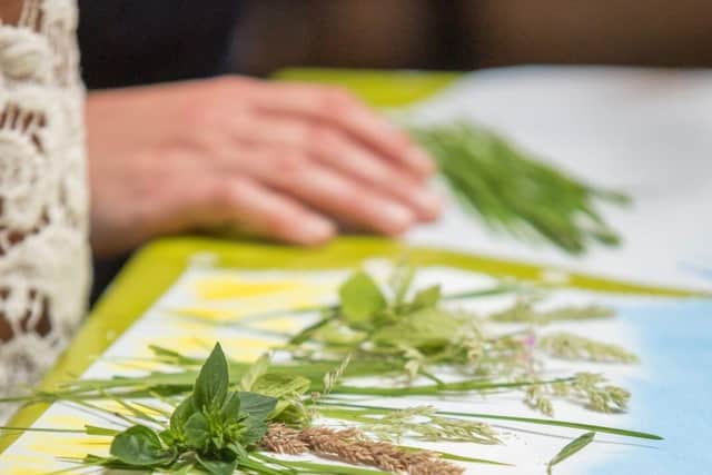 Eden Project nature workshops