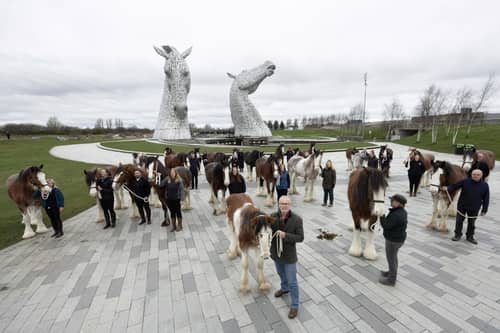 Artist and sculptor of The Kelpies Andy Scott with Clydedale Horses at The Kelpies, to celebrate the 10th anniversary. Pic: Graeme Hart/Perthshire Picture Agency