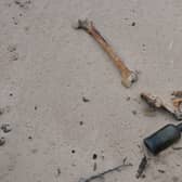 Bones found close to the site of the burial at the beach at Bridge of Don.