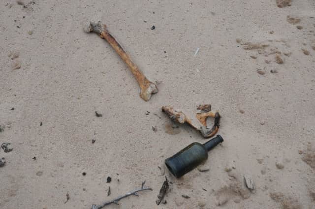 Bones found close to the site of the burial at the beach at Bridge of Don.