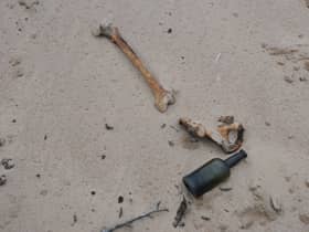 Bones found close to the site of the burial at the beach at Bridge of Don.