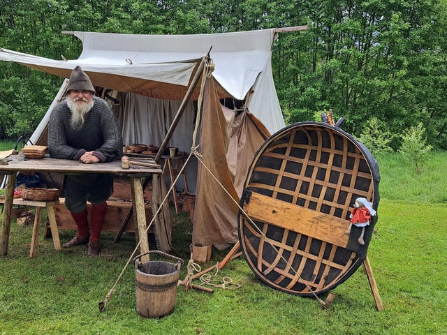 My viking saviour