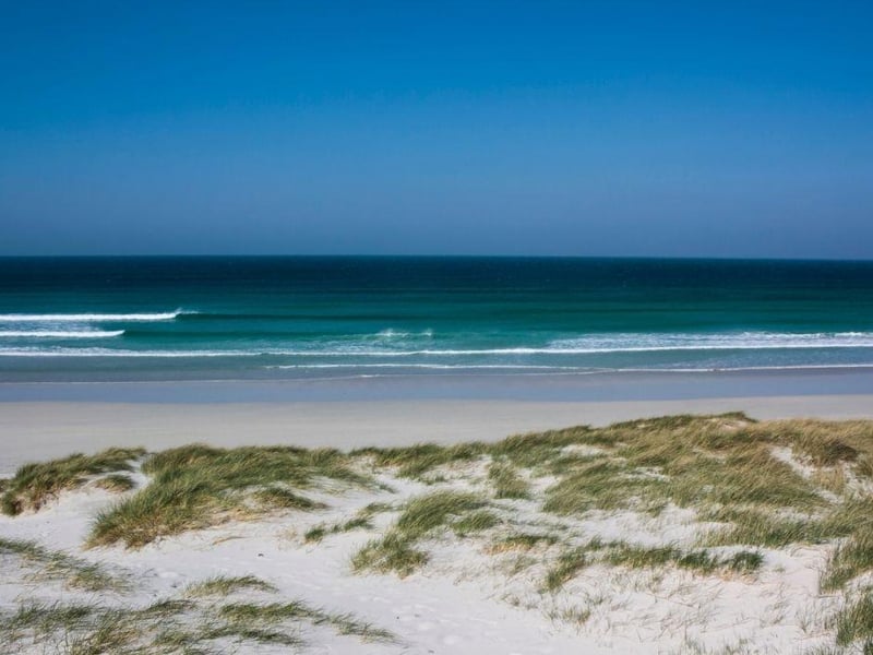 Caribbean or Scotland?