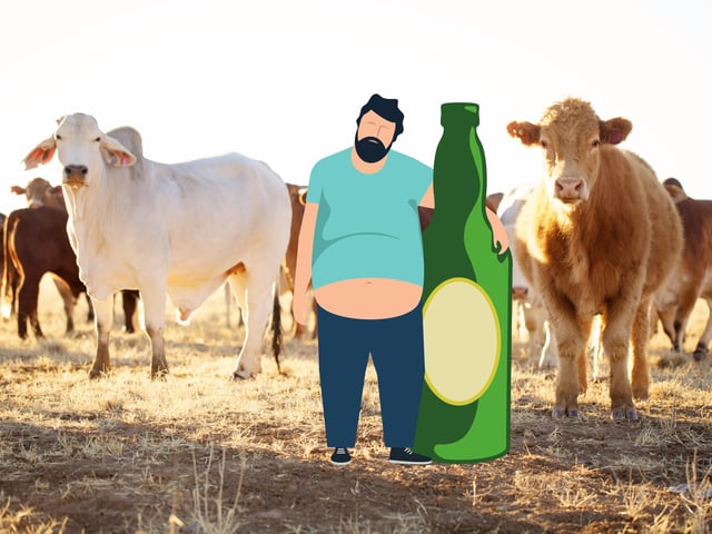 This law was put in place to protect public order and prohibited the handling of cattle and horses, as well as managing carriages and steam engines while drunk.