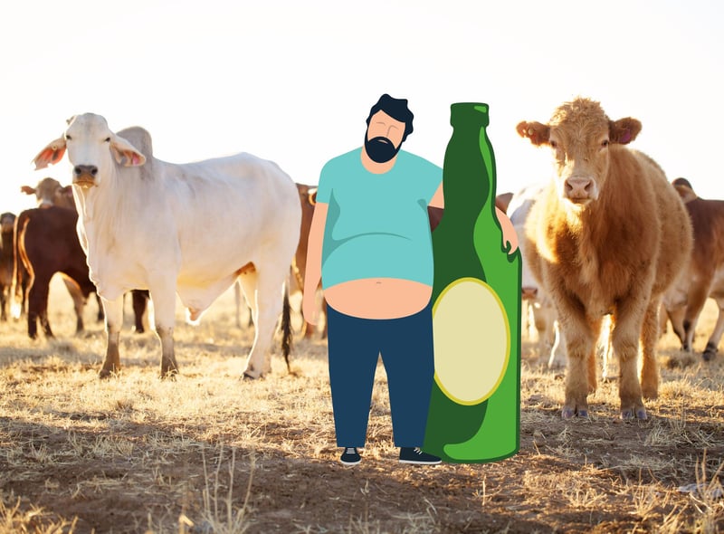 This law was put in place to protect public order and prohibited the handling of cattle and horses, as well as managing carriages and steam engines while drunk.