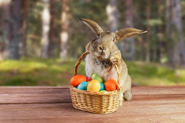 With all the chocolate and Easter egg hunts, how can we not only remind  little ones of Easter's true meaning, but excite them about it? �