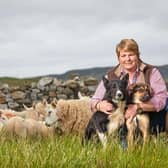 Sutherland sheep farmer, Joyce Campbell