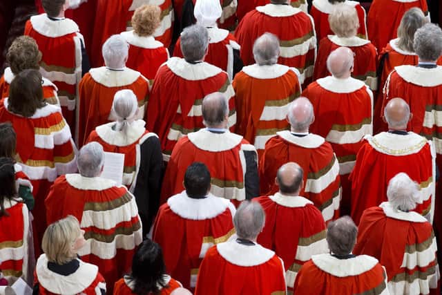 Members of the House of Lords get £300 a day if they turn up (Picture: Getty Images)