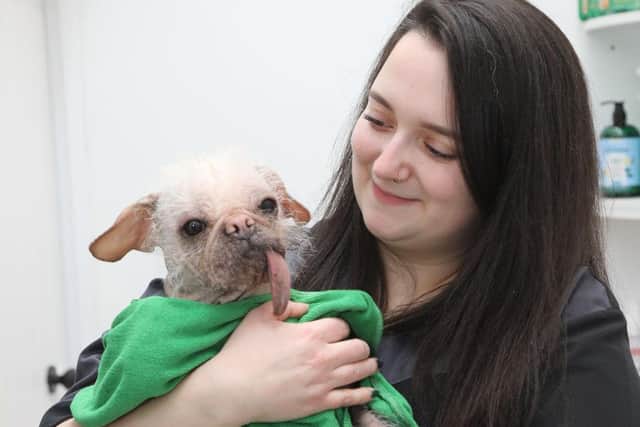 Ugly dog Peggy enjoyed a range of beauty treatments