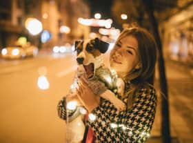 Forced to walk your dog in the dark this winter? Here are some expert tips to keep you both safe.