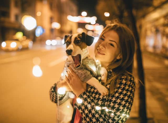 Forced to walk your dog in the dark this winter? Here are some expert tips to keep you both safe.