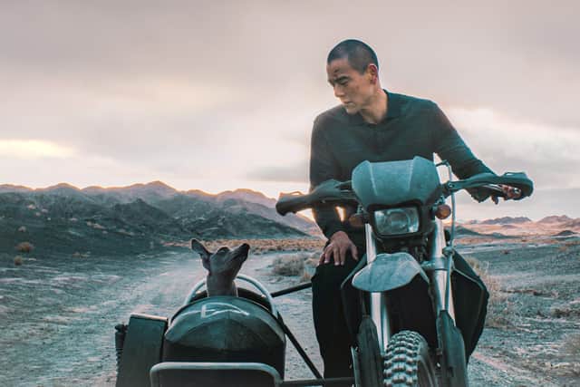 Black Dog will be screened at this year's Edinburgh International Film Festival.