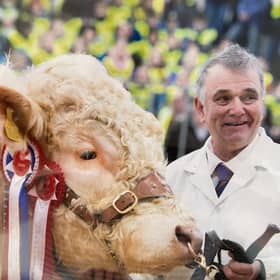 Ian Matthew with the champion Charolais bull at the Royal Northern Spring Show in 2014