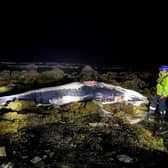 Coastguard members were called to the scene near Eyemouth in Berwickshire
PIC: HMCG