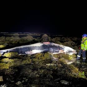 Coastguard members were called to the scene near Eyemouth in Berwickshire
PIC: HMCG