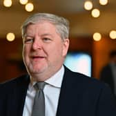 Constitution Secretary Angus Robertson wants to see an independent Scotland in the EU  (Picture: Ken Jack/Getty Images)