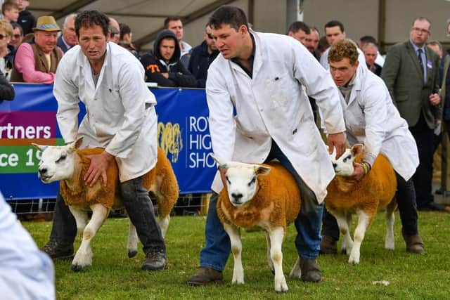 E-tickets are needed for entry to this year's Highland Show (Picture: Jeff J Mitchell/Getty Images)