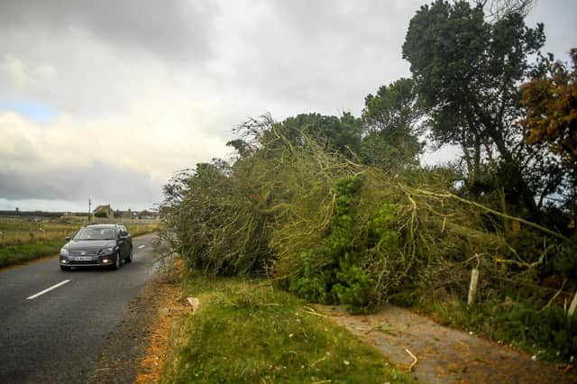 Trees brought down by Storm Arwen in Hopeman, Moray (Picture: Peter Summers/Getty Images)