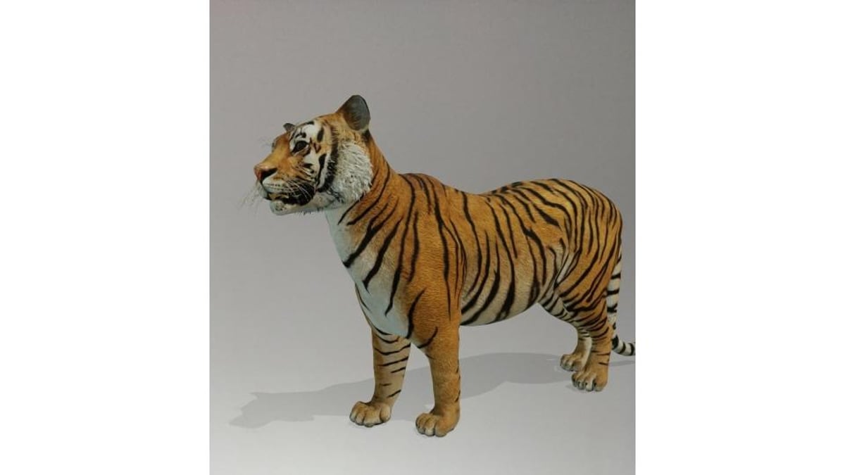 Which is your favourite 3D animal on Google? Vote for the best AR animal in  our poll - from tigers, lions, giant pandas and more | The Scotsman