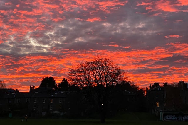 We might be fooled into thinking that we've gone back in time to Halloween but this spooky sunset embraced Edinburgh on Monday as the trees stood as haunting silhouettes (Photo: Ilona Turnbull).