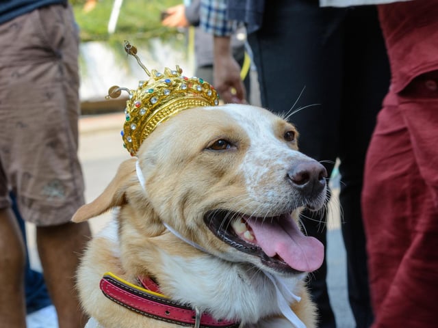 Completing the top five most popular regal dog names - and a clean sweep for the last two generations of Royals - is William. One of the most famous people in the world, he's second in line to the throne after his dad Prince Charles.