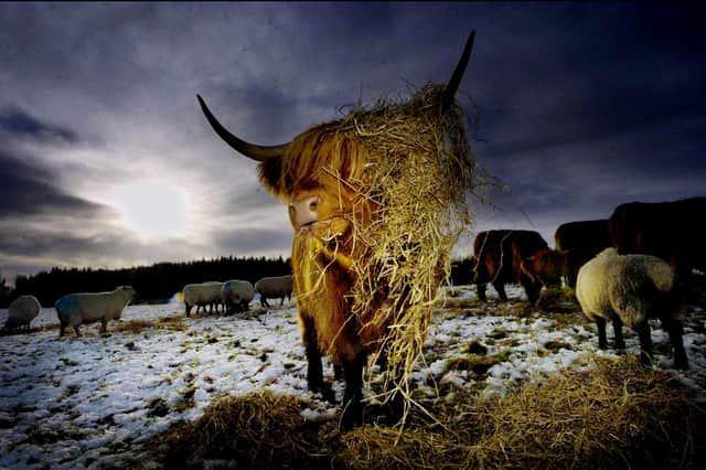 Life in the Scottish Highlands -- and the rest of the world -- has changed dramatically over the last century (Picture: Phil Wilkinson)