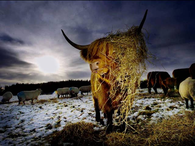 Life in the Scottish Highlands -- and the rest of the world -- has changed dramatically over the last century (Picture: Phil Wilkinson)