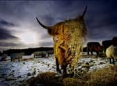 Life in the Scottish Highlands -- and the rest of the world -- has changed dramatically over the last century (Picture: Phil Wilkinson)