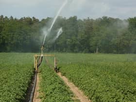 Businesses which use water are being asked to plan accordingly, such as irrigating at night if possible.