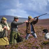 Grouse shooting is under scrutiny.
