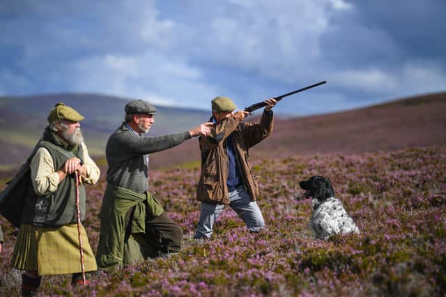 Grouse shooting is under scrutiny.