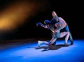 Worn by Errol White and Davina Givan PIC: Mihaela Bodlovic