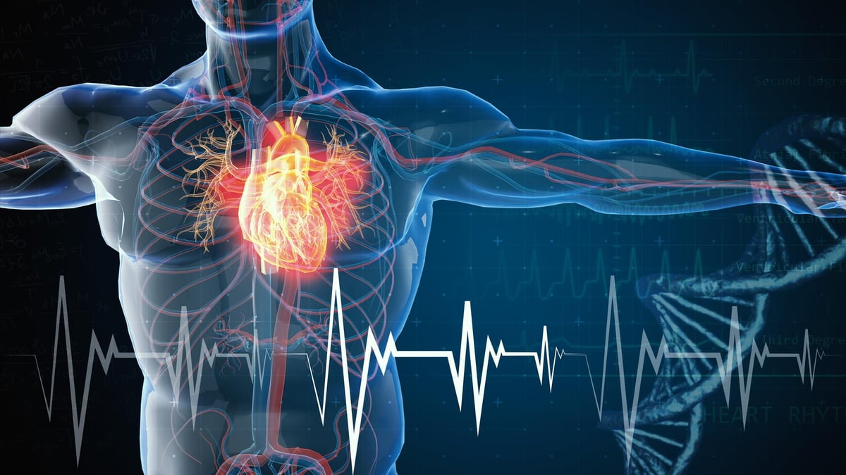 Heart attacks: Women more than twice as likely to die after heart attack than men, says study