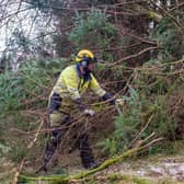 Scottish and Southern Electricity Networks engineers working to reconnect the remaining homes still off supply after damage caused by Storm Arwen.