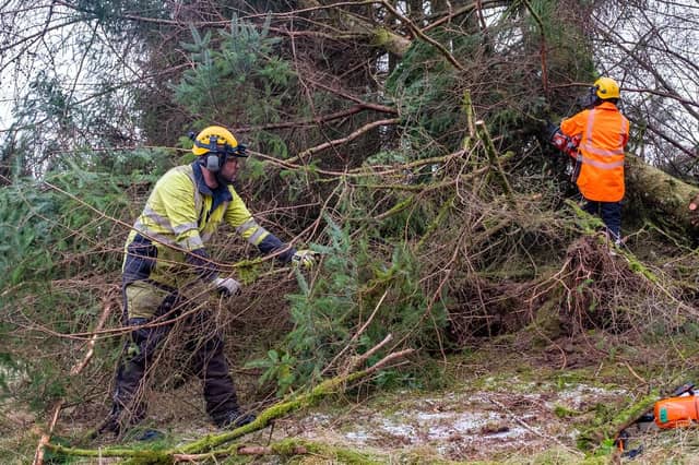 Scottish and Southern Electricity Networks engineers working to reconnect the remaining homes still off supply after damage caused by Storm Arwen.