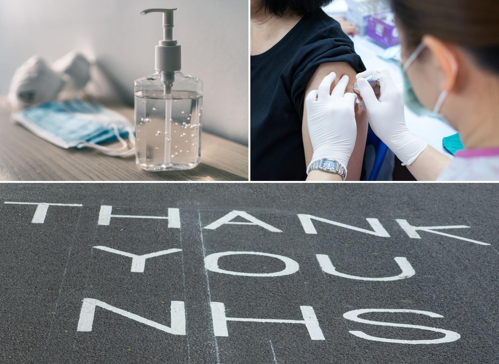 The back up plan essay 06 image