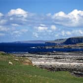 The dog died after falling into the water in the Birsay area of Orkney. PIC: Creative Commons/Giorgio Galeotti
