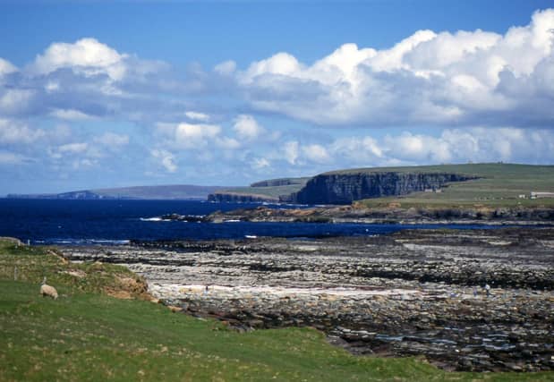 The dog died after falling into the water in the Birsay area of Orkney. PIC: Creative Commons/Giorgio Galeotti