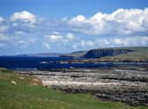 The dog died after falling into the water in the Birsay area of Orkney. PIC: Creative Commons/Giorgio Galeotti