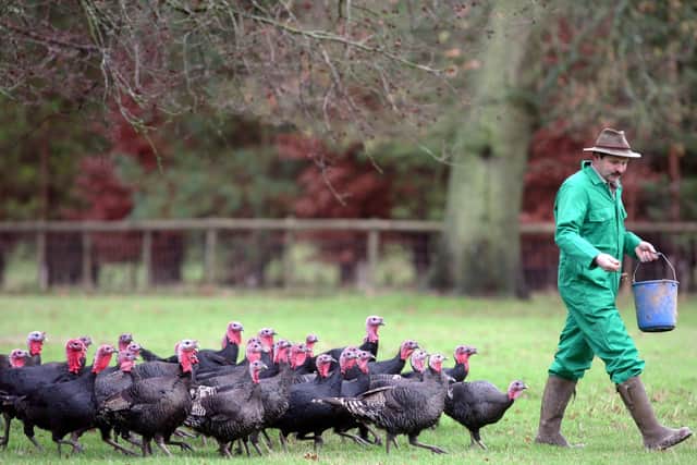 Organically farmed animals are reared to standards that include giving them access to the outdoors (Picture: Matt Cardy/Getty Images)