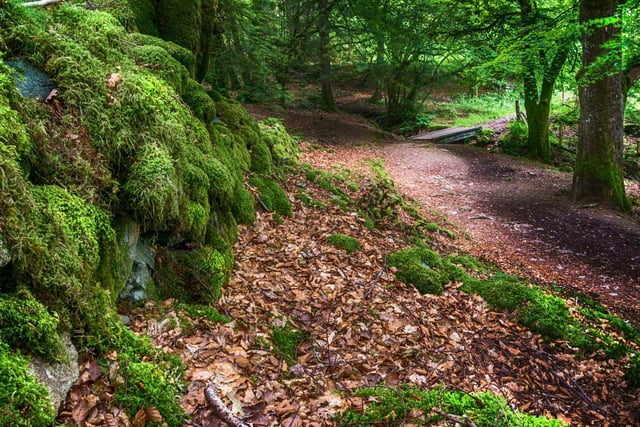 Just outside Crieff, Lady Mary's Walk winds through pretty birch forest and includes a sandy beach perfect for a picnic. If you're feeling particularly energetic, combine the walk with a climb up Laggan Hill.