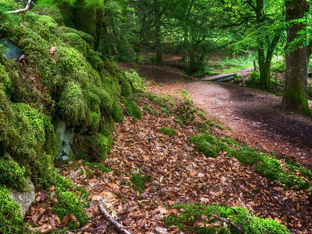 Just outside Crieff, Lady Mary's Walk winds through pretty birch forest and includes a sandy beach perfect for a picnic. If you're feeling particularly energetic, combine the walk with a climb up Laggan Hill.