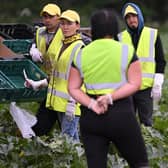 Scottish farmers are concerned about a shortfall in skilled workers. Picture: Justin Tallis-WPA Pool/Getty Images