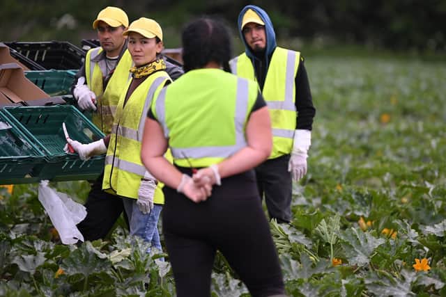 Scottish farmers are concerned about a shortfall in skilled workers. Picture: Justin Tallis-WPA Pool/Getty Images
