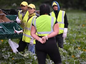 Scottish farmers are concerned about a shortfall in skilled workers. Picture: Justin Tallis-WPA Pool/Getty Images